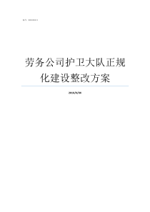 劳务公司护卫大队正规化建设整改方案劳务监察大队