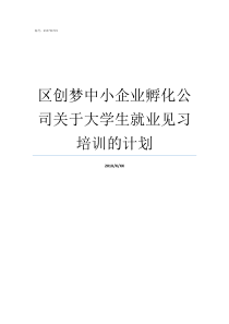 区创梦中小企业孵化公司关于大学生就业见习培训的计划中小企业孵化什么意思