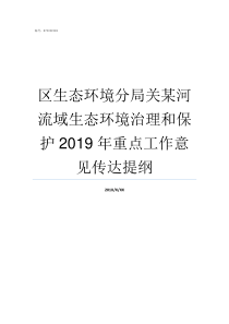 区生态环境分局关某河流域生态环境治理和保护2019年重点工作意见传达提纲县生态环境分局