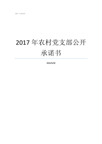 2017年农村党支部公开承诺书