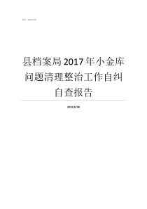 县档案局2017年小金库问题清理整治工作自纠自查报告企业小金库自查报告