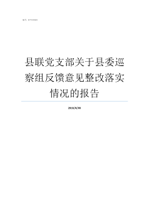 县联党支部关于县委巡察组反馈意见整改落实情况的报告灵川县委党支部