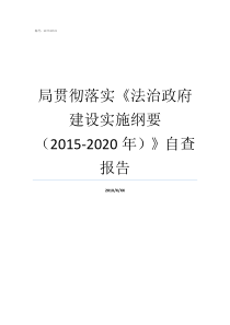 局贯彻落实法治政府建设实施纲要20152020年自查报告法治政府建设实施纲要