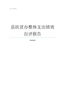 县扶贫办整体支出绩效自评报告整体支出绩效情况