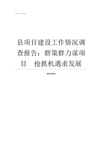 县项目建设工作情况调查报告群策群力谋项目抢抓机遇求发展项目建设