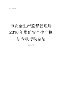 市安全生产监督管理局2016年煤矿安全生产执法专项行动总结安全生产监督局官网