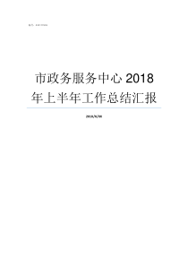 市政务服务中心2018年上半年工作总结汇报