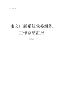 市文广新系统党委组织工作总结汇报文广新局