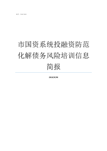 市国资系统投融资防范化解债务风险培训信息简报国有投融资公司