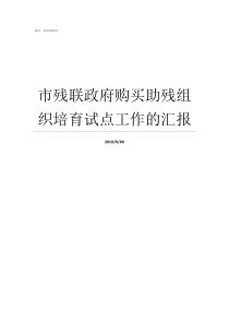 市残联政府购买助残组织培育试点工作的汇报残联助残标志