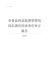 市食品药品监督管理局局长离任经济责任审计报告