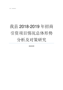 我县20182019年招商引资项目情况总体形势分析及对策研究2019年贫困县名单