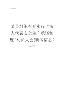 某县组织召开实行法人代表安全生产承诺制度动员大会新闻信息集体经济组织实行