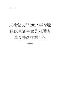 报社党支部2017年专题组织生活会党员问题清单及整改措施汇报2019党支部会议记录