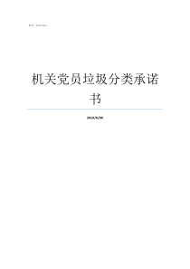 镇党委书记离任经济责任审计报告