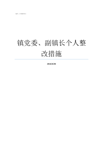 镇党委副镇长个人整改措施