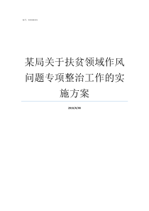 某局关于扶贫领域作风问题专项整治工作的实施方案扶贫领域及作风问题