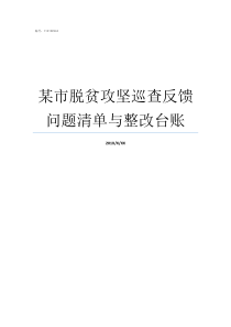 某市脱贫攻坚巡查反馈问题清单与整改台账对脱贫攻坚巡视反馈