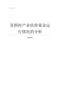 贫困村产业扶持基金运行情况的分析