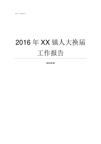 2016年XX镇人大换届工作报告不XX年