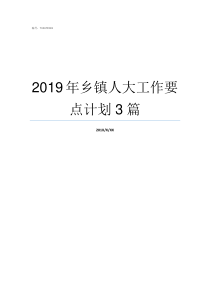 2019年乡镇人大工作要点计划3篇