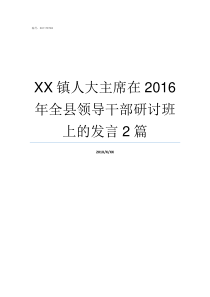 XX镇人大主席在2016年全县领导干部研讨班上的发言2篇镇上的人大主席是什么