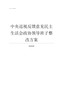 中央巡视反馈意见民主生活会政协领导班子整改方案中央省委巡视反馈意见