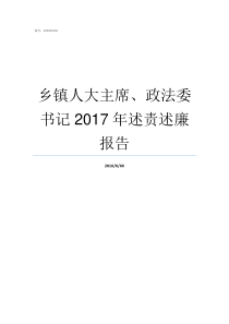 乡镇人大主席政法委书记2017年述责述廉报告