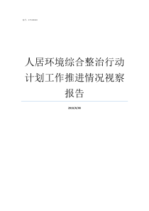 人居环境综合整治行动计划工作推进情况视察报告