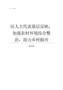 区人大代表基层反映加强农村环境综合整治助力乡村振兴基层问题反映