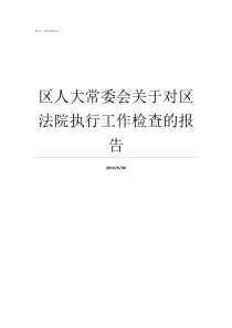 区人大常委会关于对区法院执行工作检查的报告