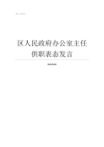 区人民政府办公室主任供职表态发言