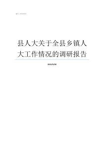 县人大关于全县乡镇人大工作情况的调研报告县人大