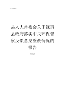 县人大常委会关于视察县政府落实中央环保督察反馈意见整改情况的报告