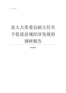 县人大常委会副主任关于促进县域经济发展的调研报告