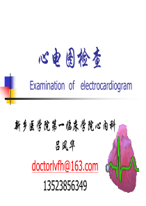 五篇器械检查幻灯片