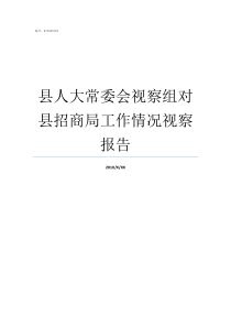 县人大常委会视察组对县招商局工作情况视察报告