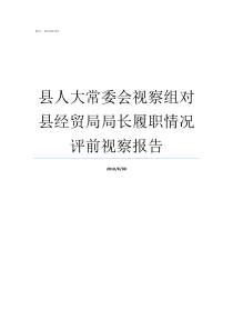 县人大常委会视察组对县经贸局局长履职情况评前视察报告