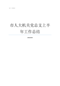 市人大机关党总支上半年工作总结市人大怎么样