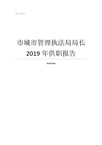 市城市管理执法局局长2019年供职报告城市管理行政执法局局长