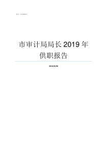 市审计局局长2019年供职报告审计局局长