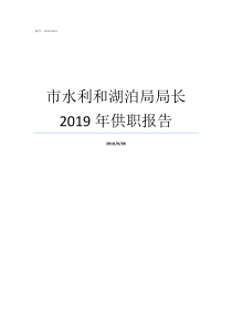 市水利和湖泊局局长2019年供职报告公安县水利和湖泊局局长