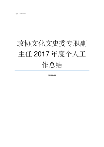 政协文化文史委专职副主任2017年度个人工作总结政协文史委员会