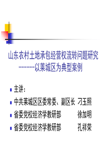 山东农村土地承包经营权流转问题研究