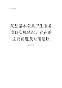 某县基本公共卫生服务项目实施情况存在的主要问题及对策建议