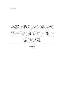 落实巡视组反馈意见领导干部与分管同志谈心谈话记录落实巡视组反馈意见会议