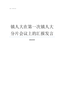 镇人大在第一次镇人大分片会议上的汇报发言