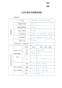 大学生职业生涯规划表格