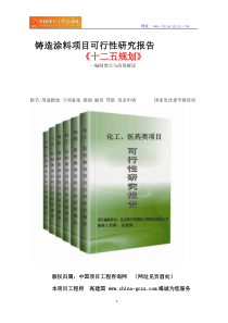 铸造涂料项目可行性研究报告立项格式范文