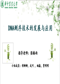 18DNA测序技术及其应用.ppt